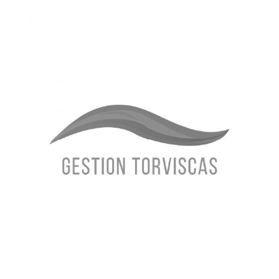 Gestion-Torviscas